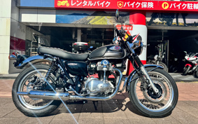 KAWASAKI W800 2024 EJ800E