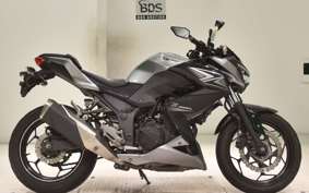 KAWASAKI Z250 A 2021 ER250C