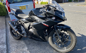 SUZUKI GSX250 R DN11A