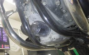 KAWASAKI W800 STREET 2022 EJ800E