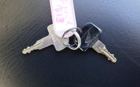 HONDA GYRO CANOPY TA02