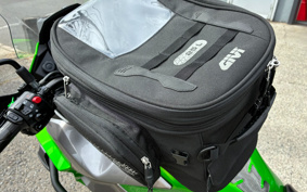 KAWASAKI VERSYS-X 250 ABS LE250D