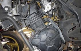 KAWASAKI NINJA 250 EX250L