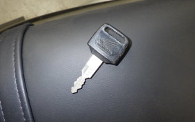 HONDA VT250 SPADA 1999 MC20