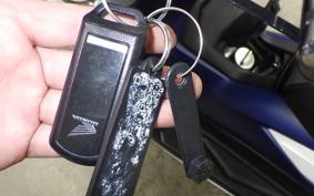 HONDA FORZA 250 2002 MF13