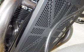 TRIUMPH SPEED TWIN 2022