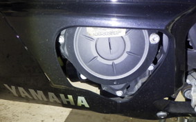 YAMAHA YZF R-3 2019 RH13J