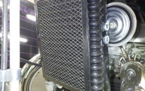 OTHER +ENFIELD ｺﾝﾁﾈﾝﾀﾙGT650 2021