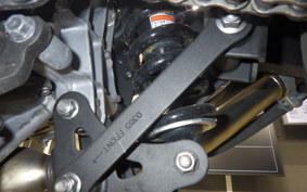 KAWASAKI Z250 Gen.2 2023 EX250P