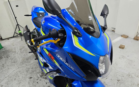 SUZUKI GSX-R1000R 2019 DM11A