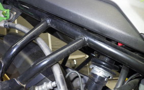 YAMAHA FZS25 2015