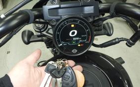 HARLEY RH975S 2024