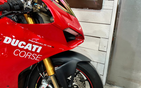 DUCATI PANIGA-REV4S 2019 DA00J