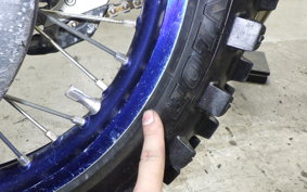 YAMAHA YZ250X