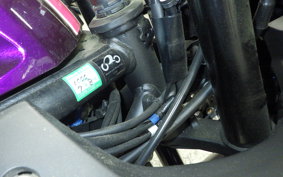 YAMAHA YZF R-3 2025 RH21J