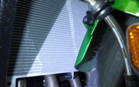 KAWASAKI NINJA1100SX SE 2025 ZXT10H