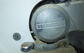 HONDA C50 SUPER CUB 2024 C50