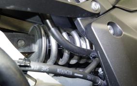 KAWASAKI NINJA 1000SX 2020 ZXT02K
