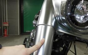 HARLEY FLFB 1750 2019