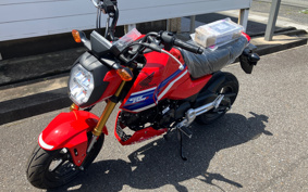 HONDA GROM JC92