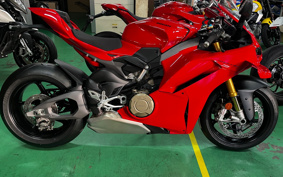 DUCATI PANIGA-REV4S 2025 5D00