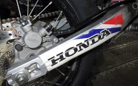HONDA CRF250L 2025 MD47