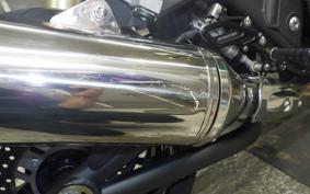 KAWASAKI ZRX1200 D 2016 ZRT20D