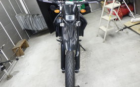 YAMAHA WR250X 1992 DG15J