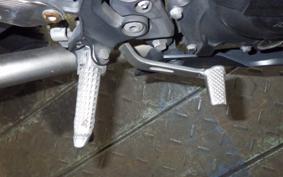 KAWASAKI NINJA 250 EX250P