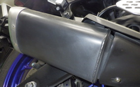 YAMAHA YZF-R25 1998 RG10J