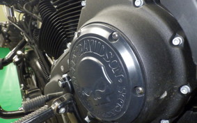 HARLEY XL883N 2020