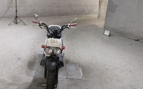 HONDA ZUMAR AF58