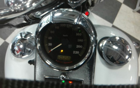 HARLEY FLSTC 2007 BW5