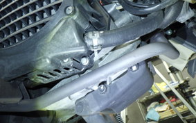 HONDA ZOOMER 2017 AF58