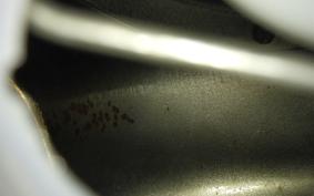 TRIUMPH TRIDENT 660 2023