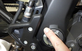 INDIAN FTR1200 2025