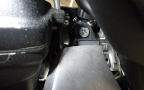 TRIUMPH SPEED400 2024