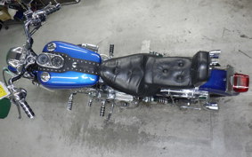 HARLEY FXDL 1340 2025