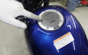 HONDA REBEL 250 S MC49