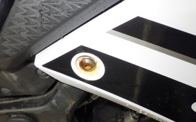 KAWASAKI NINJA 250 ABS EX250L