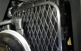 SUZUKI Vｽﾄﾛｰﾑ250SX 1999 EL11L