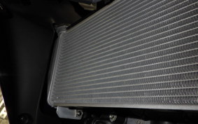 YAMAHA YZF-R25 A 2025 RG95J