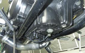 KAWASAKI ELIMINATOR 250 SE 2022 EL250A