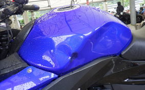 SUZUKI GSX250R