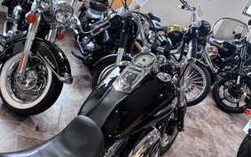 HARLEY FXDF1580 2007 GY4