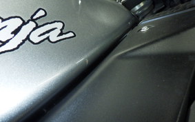 KAWASAKI NINJA 250 ABS 2025 EX250L