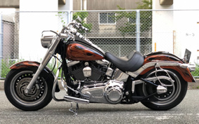 HARLEY FLSTF 2011 BX5
