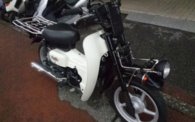 SUZUKI BIRDIE 50 BA43A