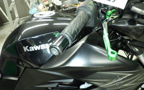 KAWASAKI Z250 A 2021 ER250C