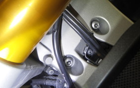 YAMAHA MT-09 2014 RN34J